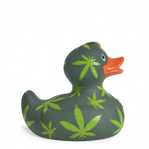HEMP
