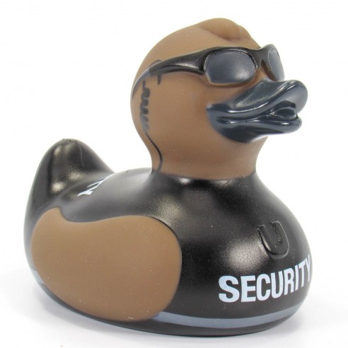 SECURITY